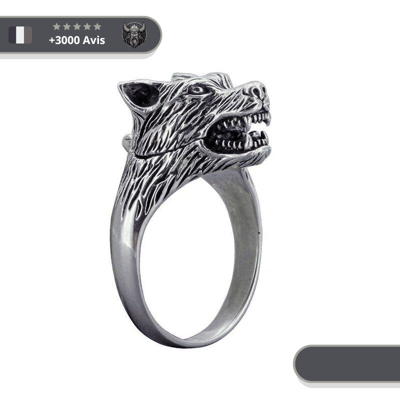 Bague Viking T te de Loup Fenrir le G ant en livraison gratuite